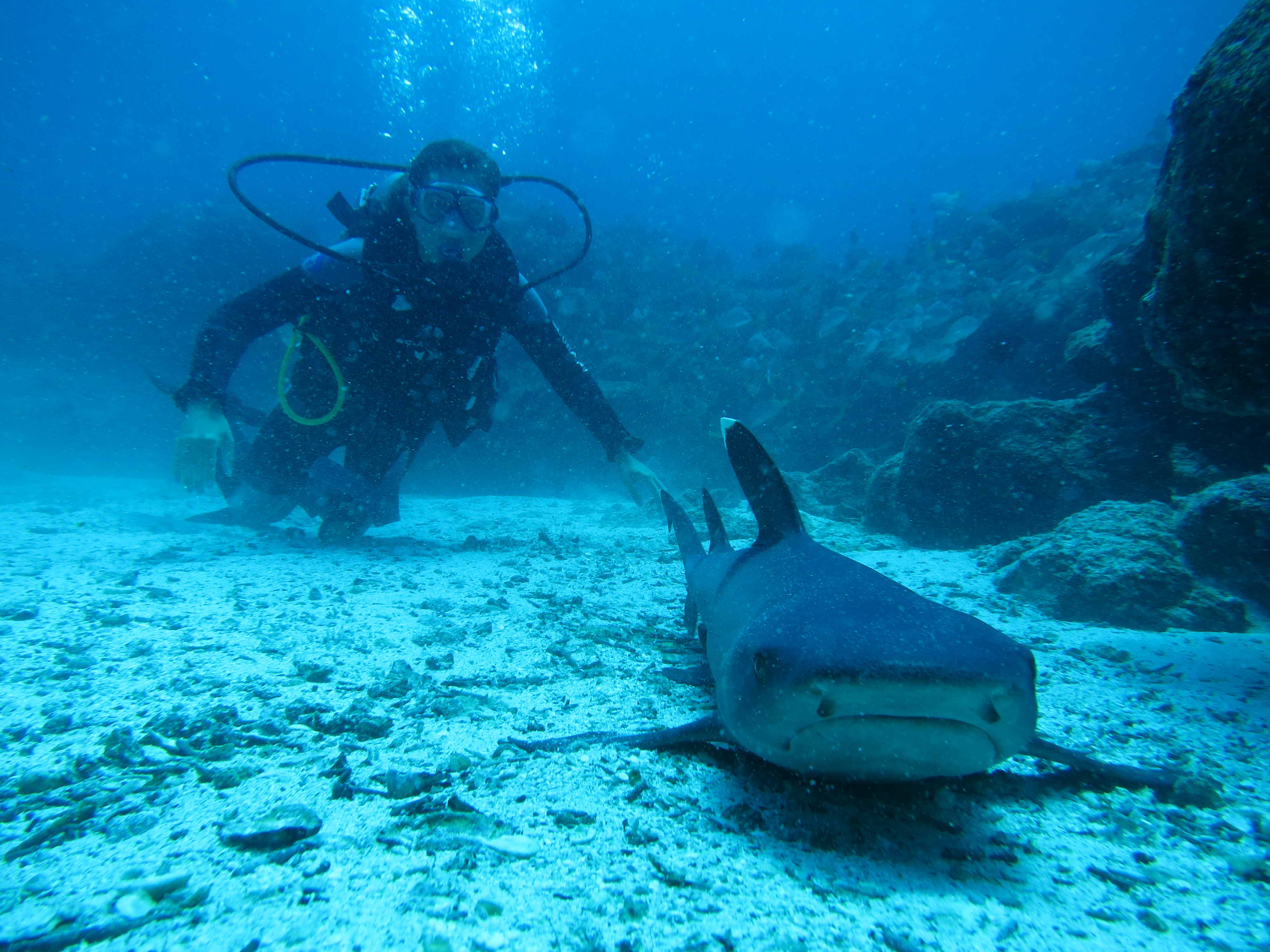 Buceo en Seymour