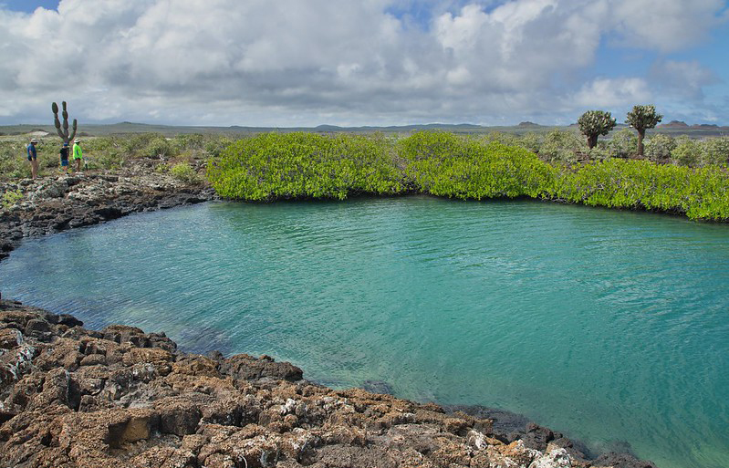 Bahía Rosa Blanca - Playa y Snorkeling