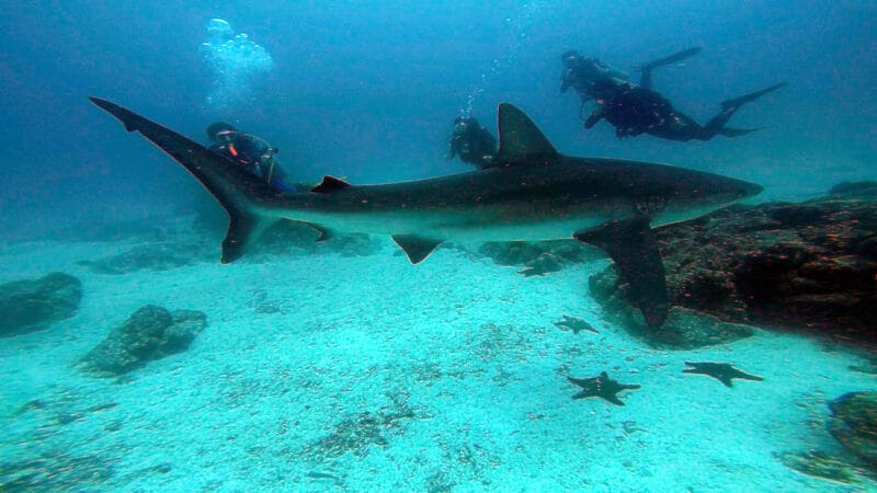 GOPR2269_1563491045452_high GOPR2269_1563491045452_high