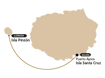 MAPA PINZON