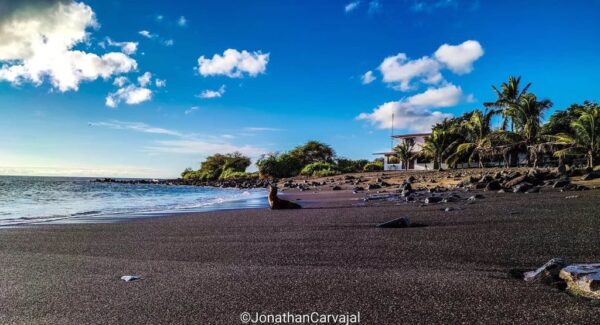 PLAYA NEGRA FLOREANA