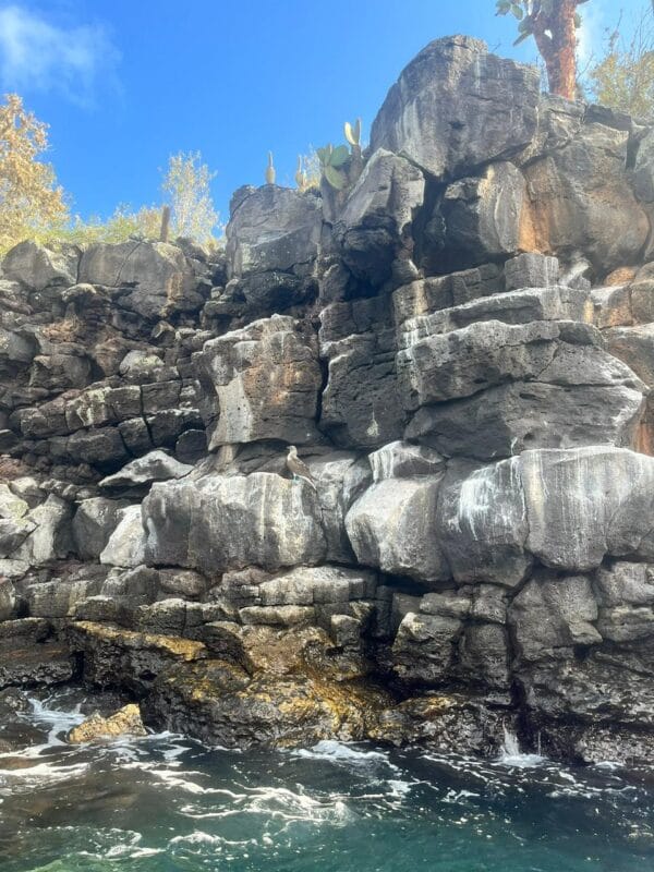 PUNTA ESTRADA PUNTA ESTRADA