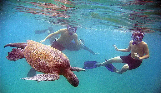 SNORKEL PINZON