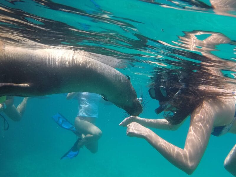 SNORKEL SANTA FE SNORKEL SANTA FE