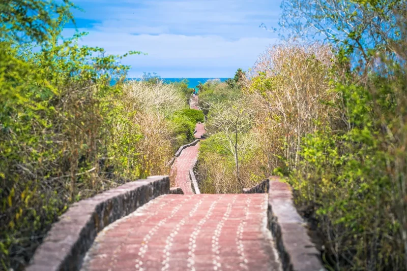 TORTUGA BAY TORTUGA BAY