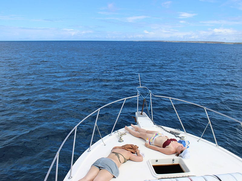 TOUR BUCEO SEYMOUR 2 TOUR BUCEO SEYMOUR 2