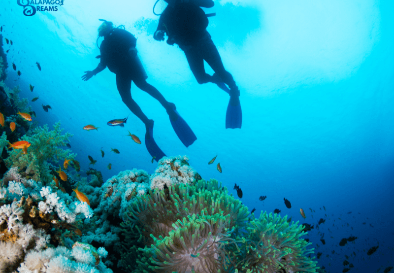 1w1600h900 1w1600h900