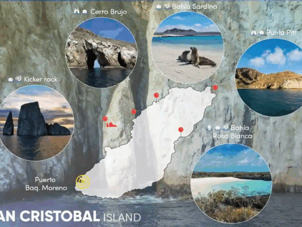 Tour 360°