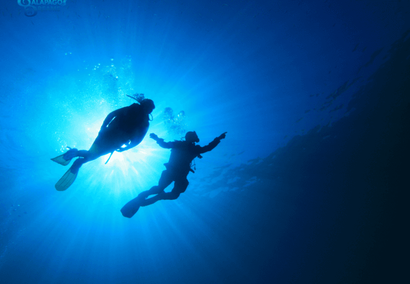 3w1600h900 3w1600h900