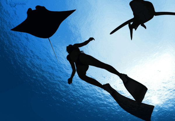 4w1600h900 4w1600h900