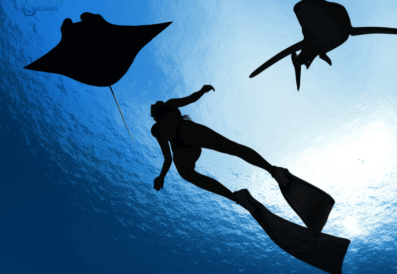 4w1600h900 4w1600h900