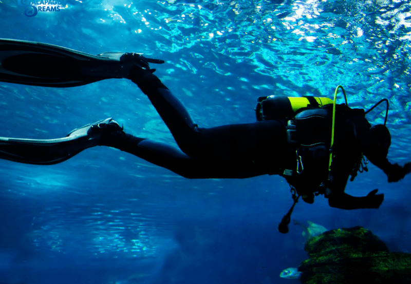 5w1600h900 5w1600h900