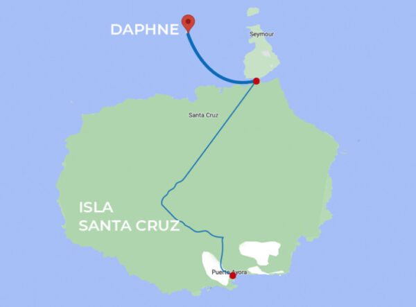 DAPHNE MAPA
