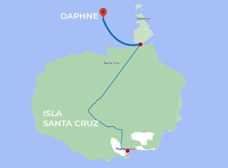 DAPHNE MAPA DAPHNE MAPA