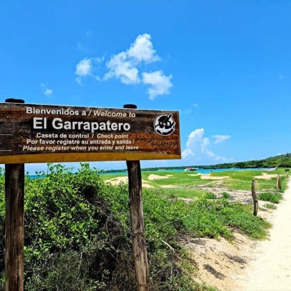 Garrapatero Garrapatero