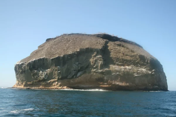 ISLA DAPHNE