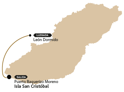 LEON DORMIDO MAPA