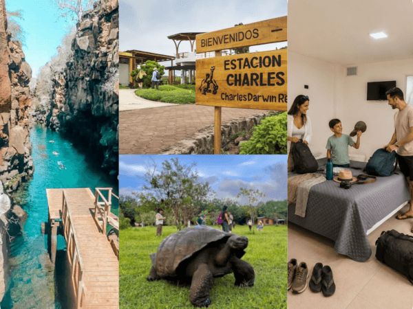 Galapagos Discover / 3 Días 2 Noches