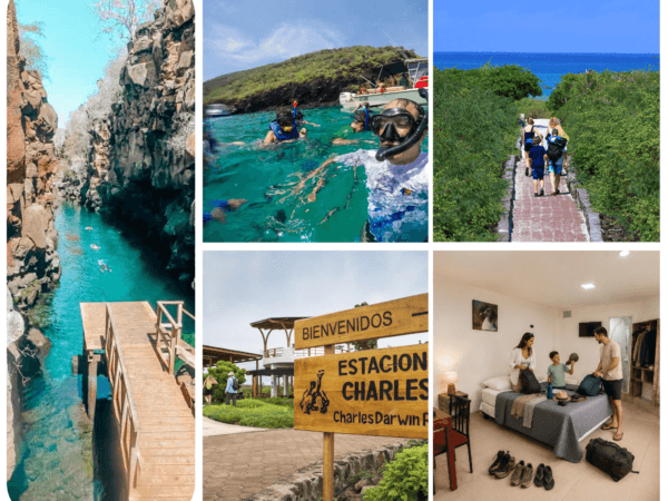 Galápagos Esencial / 4 Días 3 Noches