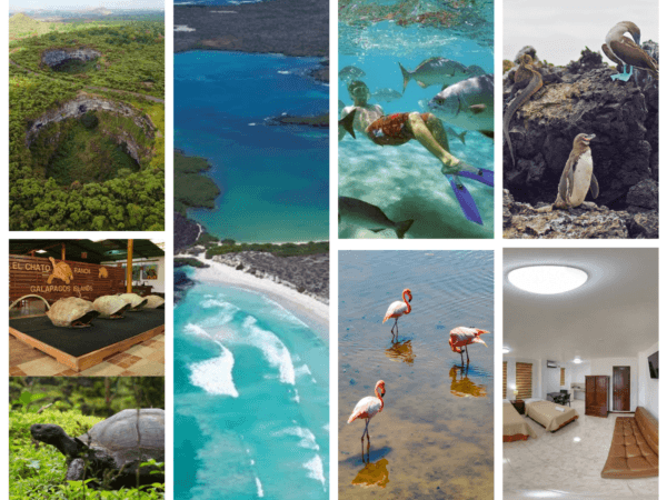 Galápagos Two-Island Experience / 4 Días 3 Noches
