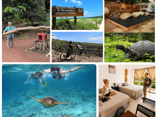Galápagos Travesia / 4 Días 3 Noches