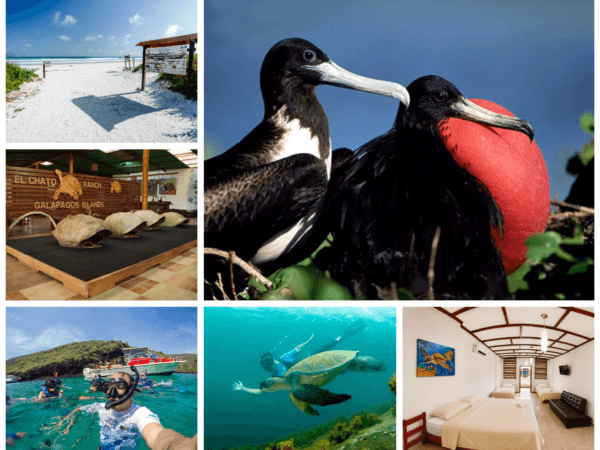 Galapagos Especial / 5 Días 4 Noches