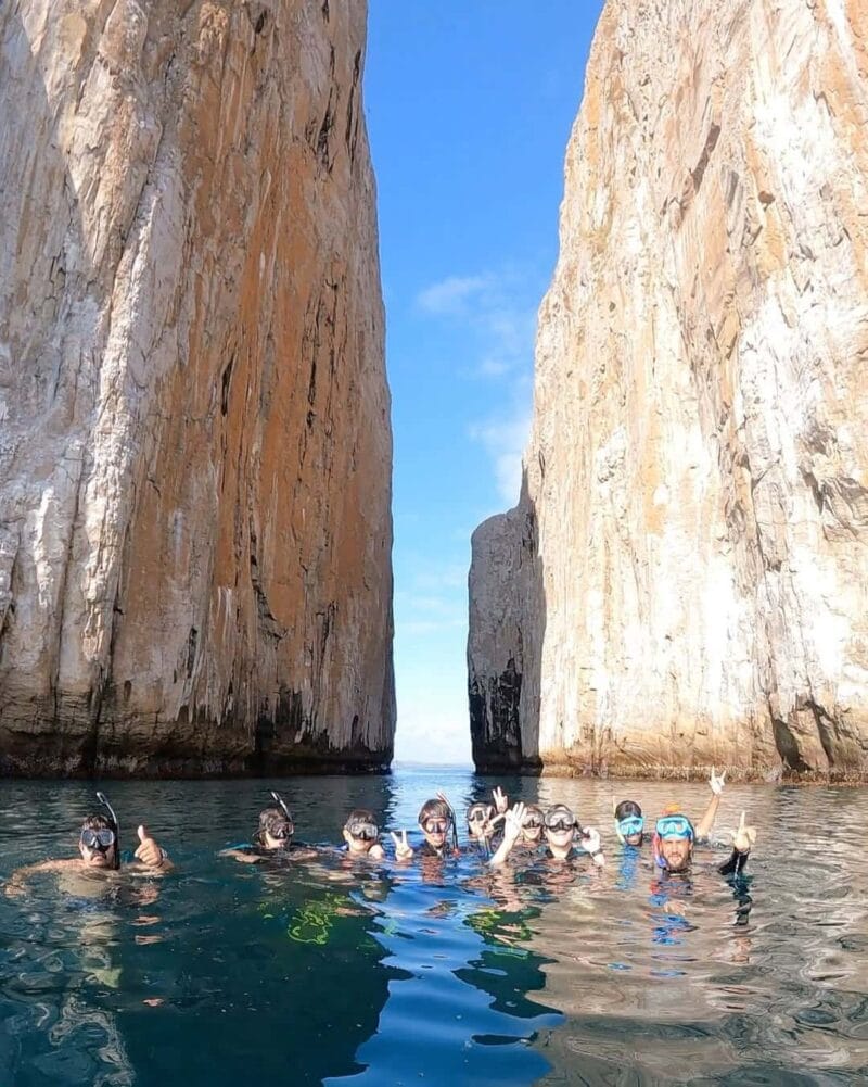 SNORKEL LEON SNORKEL LEON