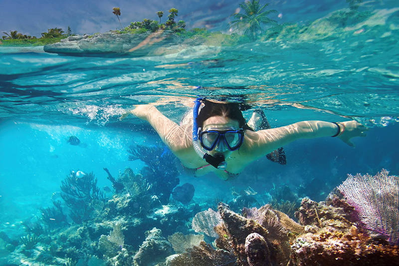 Snorkeling in Carribean sea