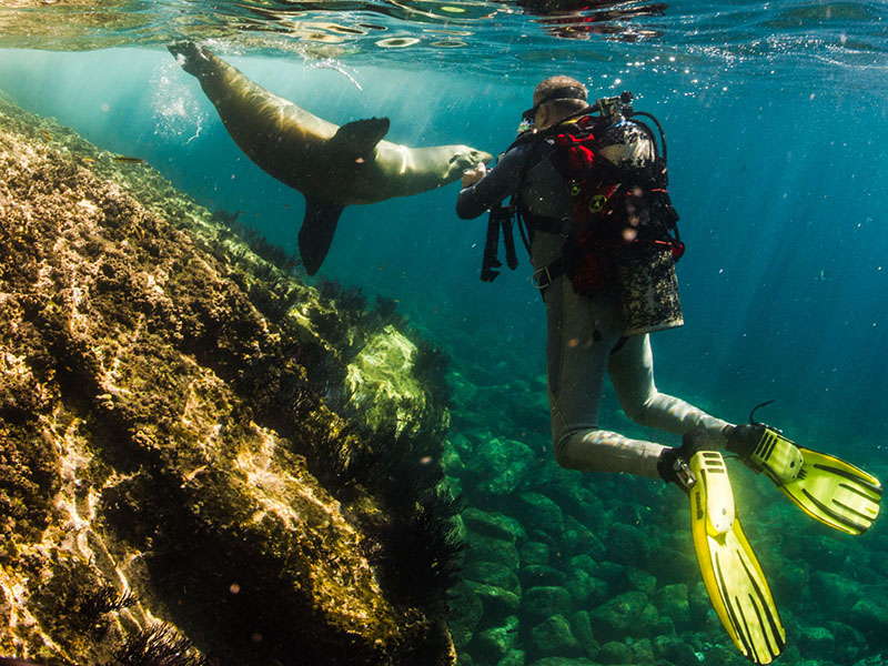 TOUR BUCEO SEYMOUR 1