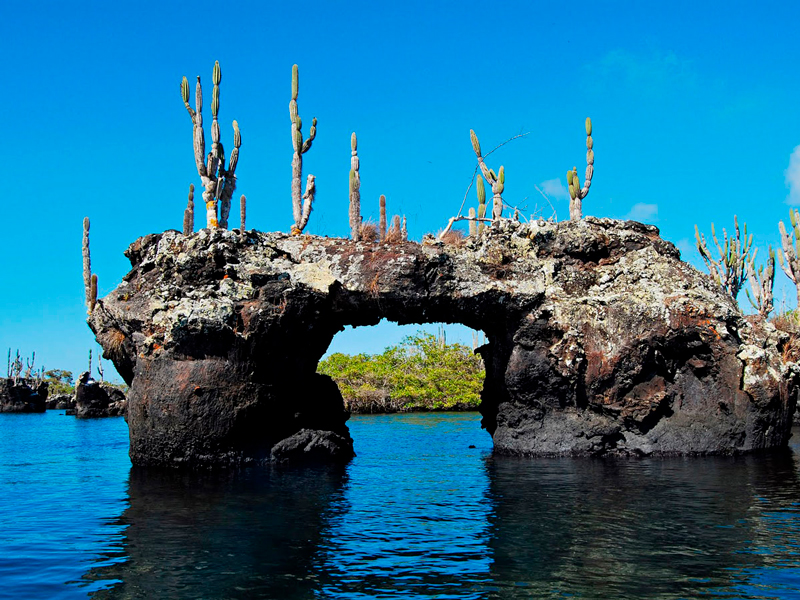 lava-tunnels-isabela-galapagos