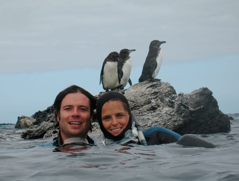 penguins_lostuneles penguins_lostuneles