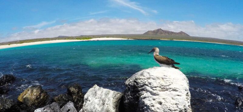 punta-pucana