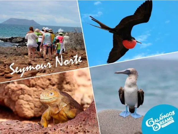 Isla Seymour Norte