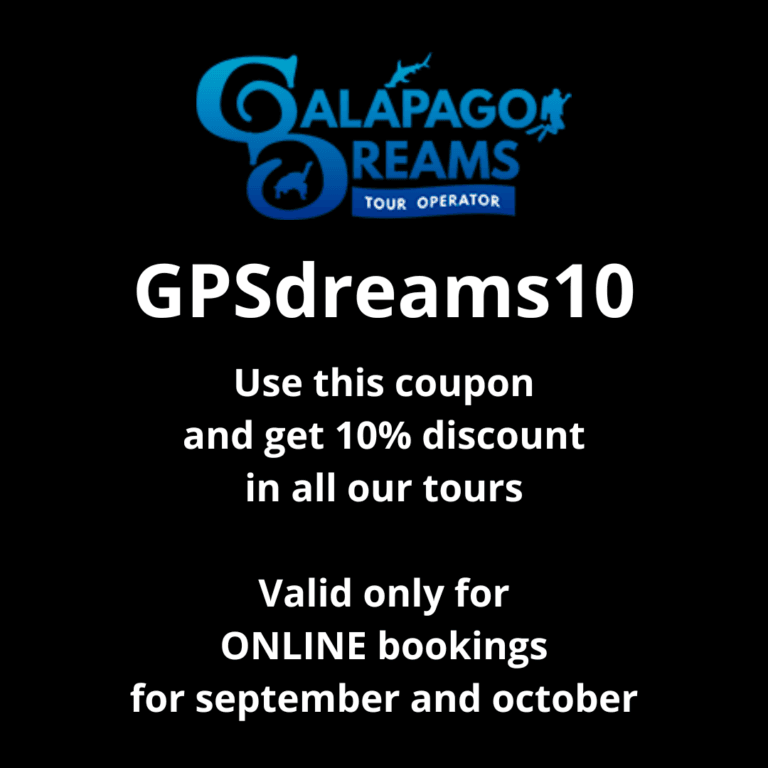 Use this coupon and get 5% discount in all our tours Valid only for ONLINE bookings